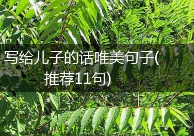 写给儿子的话唯美句子(推荐11句)