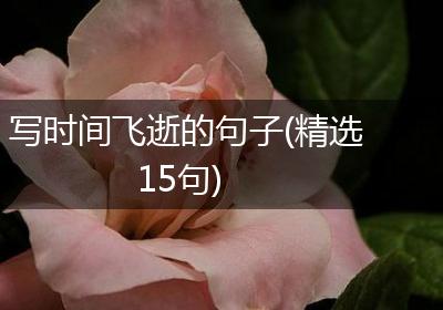 写时间飞逝的句子(精选15句)