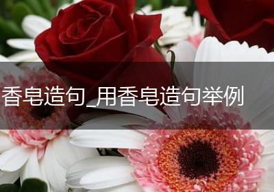 香皂造句_用香皂造句举例