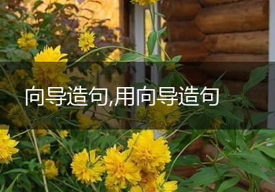 向导造句,用向导造句