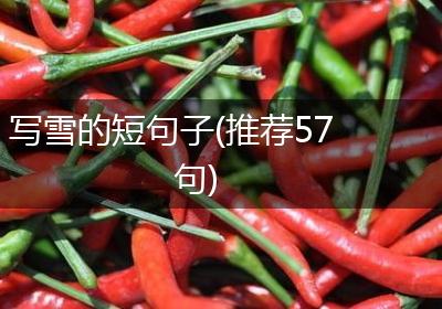写雪的短句子(推荐57句)