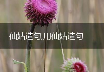 仙姑造句,用仙姑造句