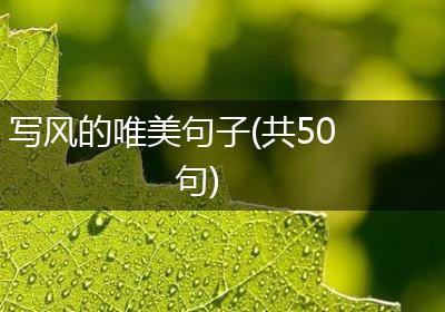 写风的唯美句子(共50句)