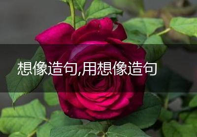 想像造句,用想像造句