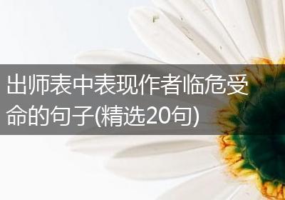 出师表中表现作者临危受命的句子(精选20句)