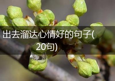 出去溜达心情好的句子(20句)