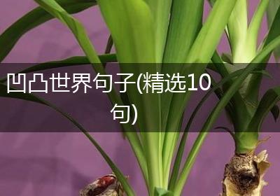 凹凸世界句子(精选10句)