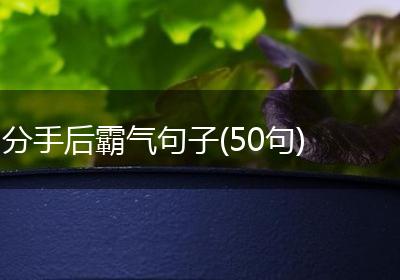 分手后霸气句子(50句)