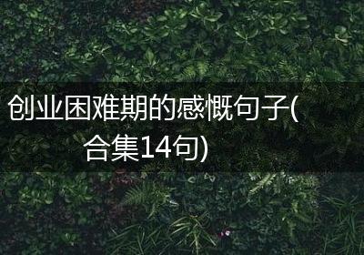创业困难期的感慨句子(合集14句)