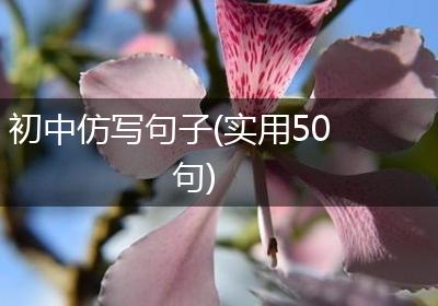 初中仿写句子(实用50句)