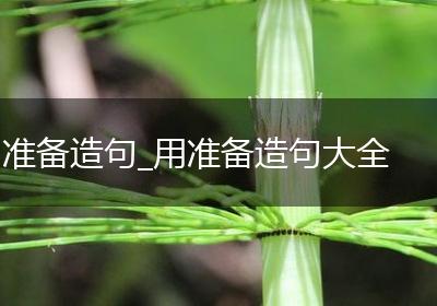 准备造句_用准备造句大全