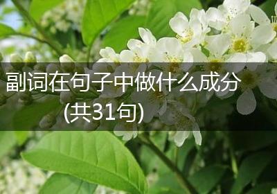 副词在句子中做什么成分(共31句)