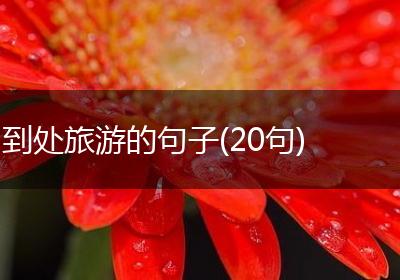到处旅游的句子(20句)