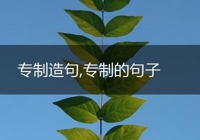 专制造句,专制的句子