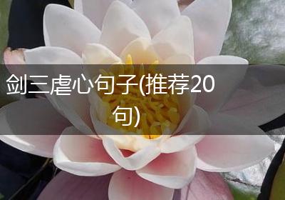剑三虐心句子(推荐20句)