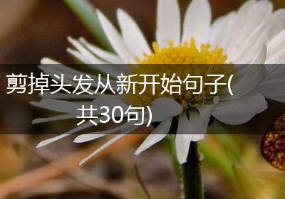 剪掉头发从新开始句子(共30句)