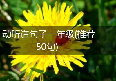 动听造句子一年级(推荐50句)