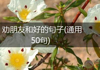 劝朋友和好的句子(通用50句)