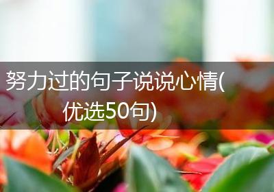 努力过的句子说说心情(优选50句)