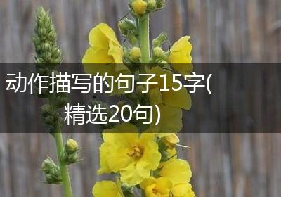 动作描写的句子15字(精选20句)