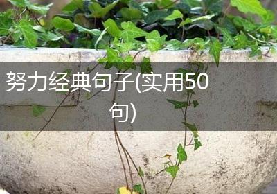 努力经典句子(实用50句)