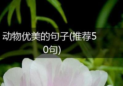 动物优美的句子(推荐50句)