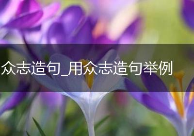 众志造句_用众志造句举例