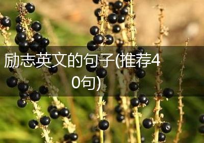 励志英文的句子(推荐40句)