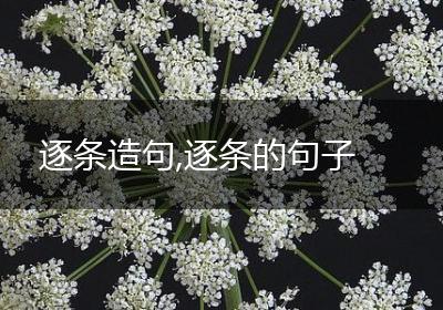 逐条造句,逐条的句子