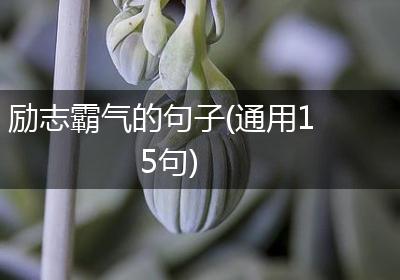 励志霸气的句子(通用15句)