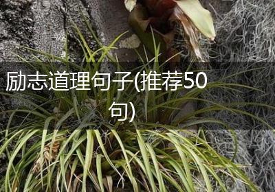 励志道理句子(推荐50句)