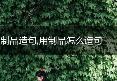 制品造句,用制品怎么造句