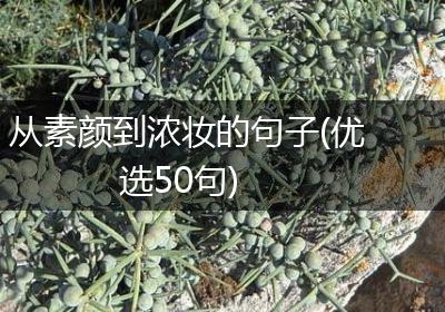 从素颜到浓妆的句子(优选50句)