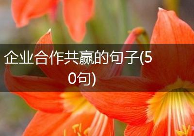 企业合作共赢的句子(50句)