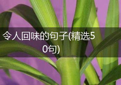 令人回味的句子(精选50句)