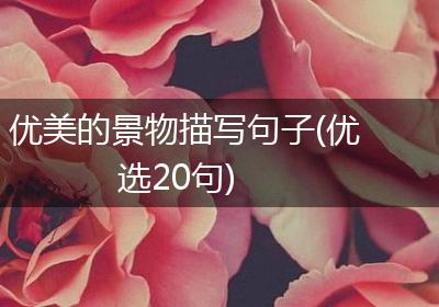 优美的景物描写句子(优选20句)