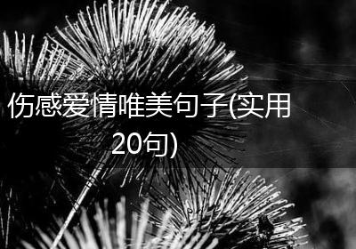 伤感爱情唯美句子(实用20句)