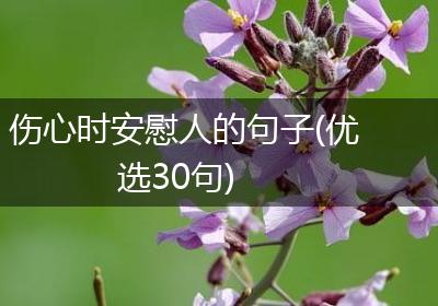 伤心时安慰人的句子(优选30句)