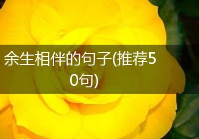 余生相伴的句子(推荐50句)