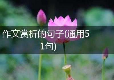 作文赏析的句子(通用51句)