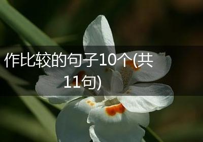 作比较的句子10个(共11句)