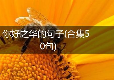 你好之华的句子(合集50句)