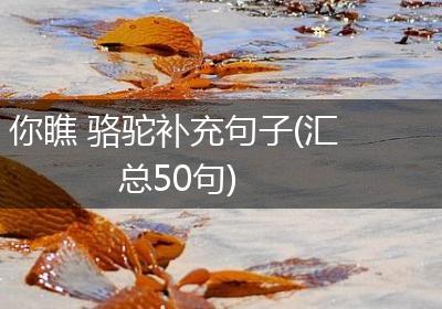 你瞧 骆驼补充句子(汇总50句)