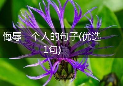 侮辱一个人的句子(优选1句)