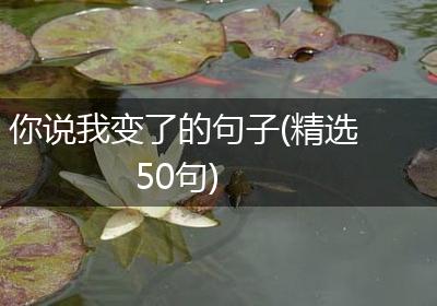 你说我变了的句子(精选50句)