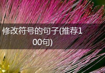 修改符号的句子(推荐100句)