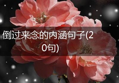 倒过来念的内涵句子(20句)
