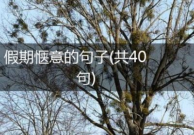 假期惬意的句子(共40句)