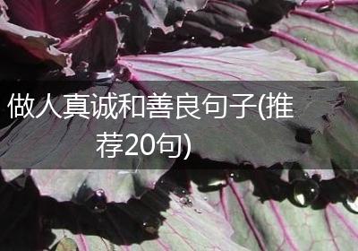 做人真诚和善良句子(推荐20句)