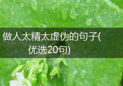 做人太精太虚伪的句子(优选20句)